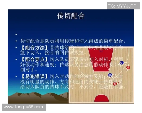 武汉篮球队整体压制战术分析与得失评估探讨