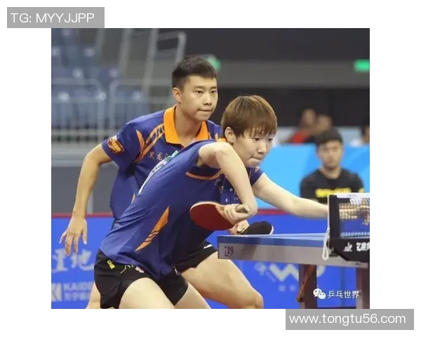 深入分析北京乒乓球队进攻战术与技术特点的专业解读