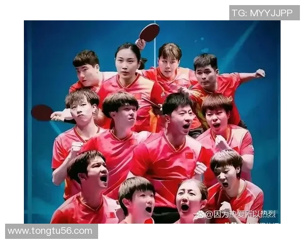 深圳乒乓球队拼搏历程揭秘努力与荣耀交织的奋斗故事