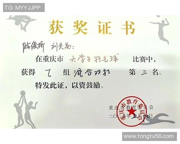 深圳羽毛球队的耐力训练与比赛表现分析探讨