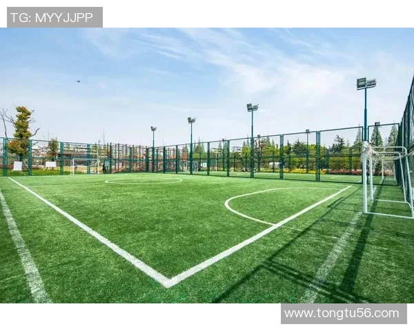 探索闭合足球馆的魅力与未来发展潜力的全新视角